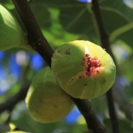 With A Parking Space - 8430 公寓