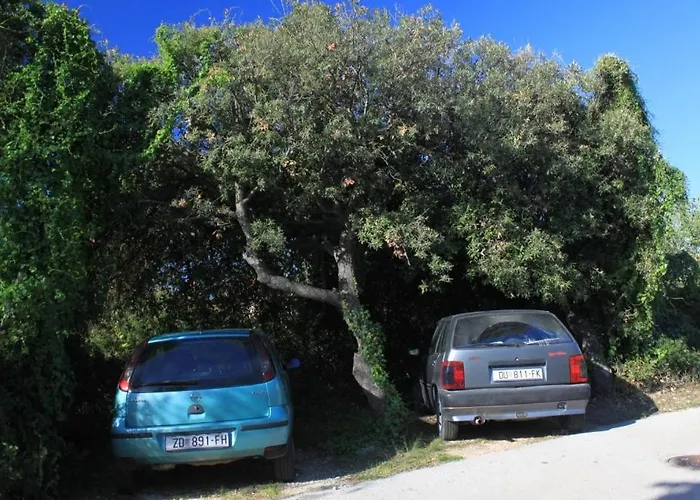 With A Parking Space - 8430 * أوغليان