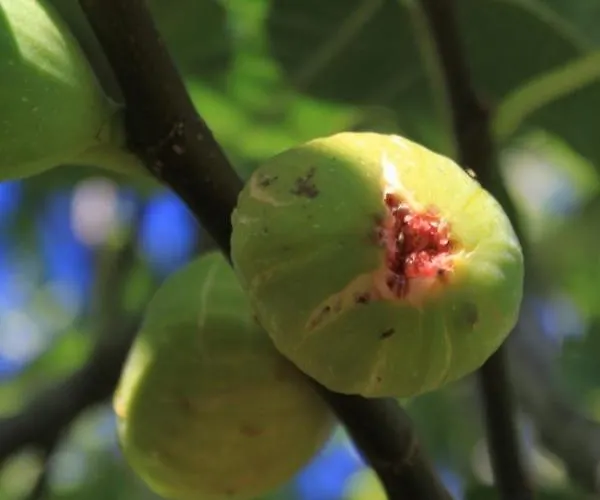 With A Parking Space - 8430 شقة